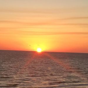 Meet your Posher, Martha